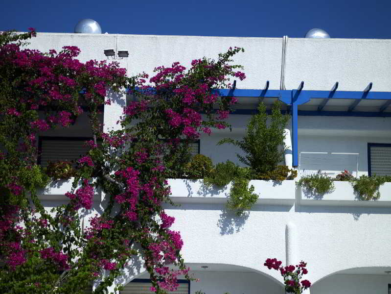 Ninetta'S Studios Poros Town Exteriér fotografie